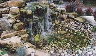 Pond & Water Features